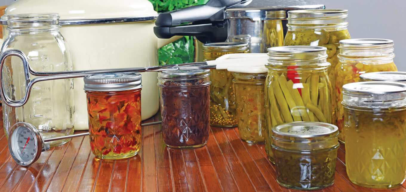 Suburban Homesteading for Beginners – Mother Earth News - Vimarsana News